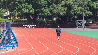 乐鱼电竞在线平台登录入口-校园体育活动组织效率提升策略，学校体育活动组织与安排
