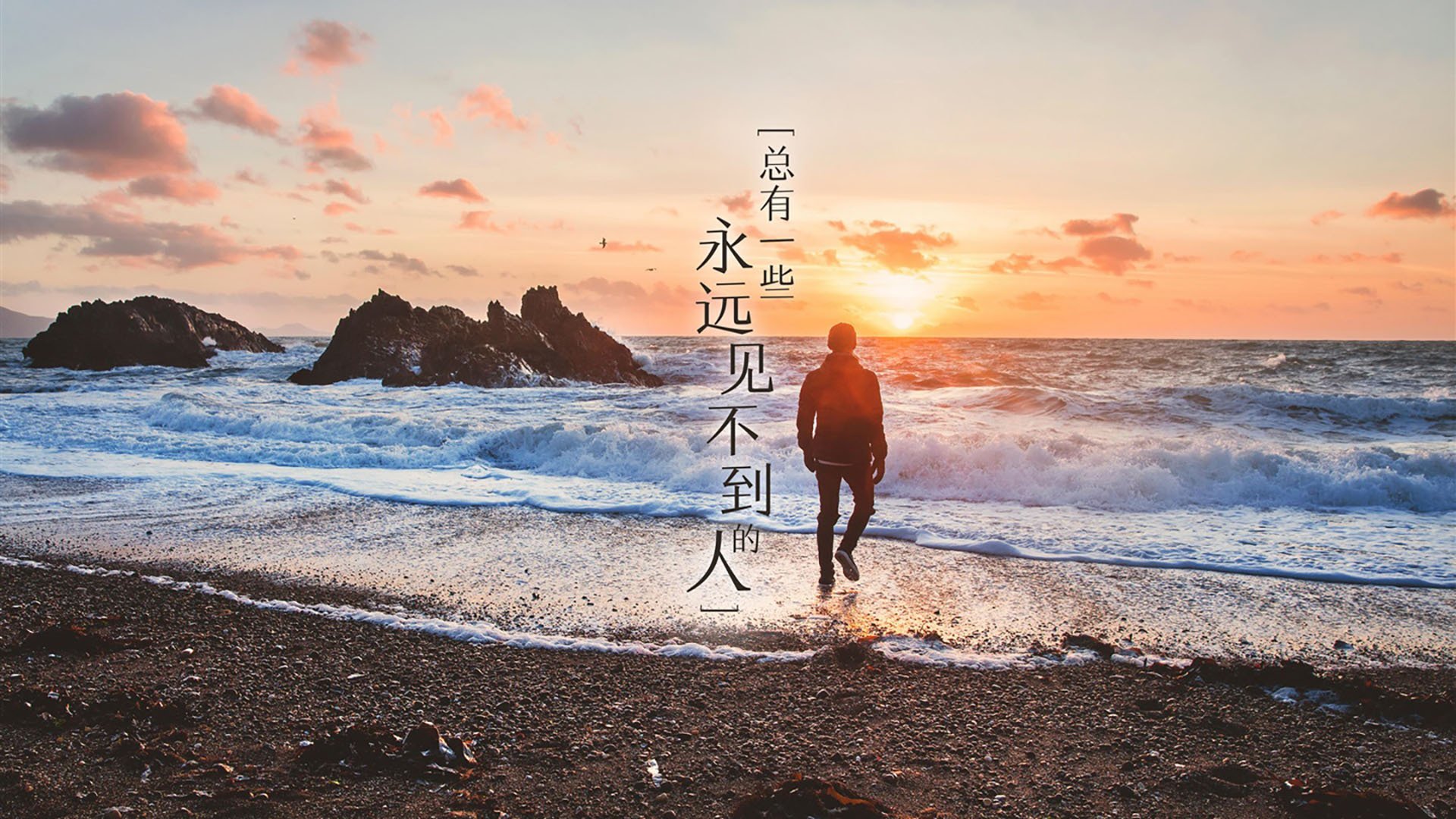 森林狼球员参与社区公益活动传播正能量,森林狼俱乐部