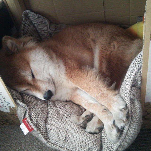 欧洲杯战术创新:布局多变,引爆全场!,欧洲杯技术分析