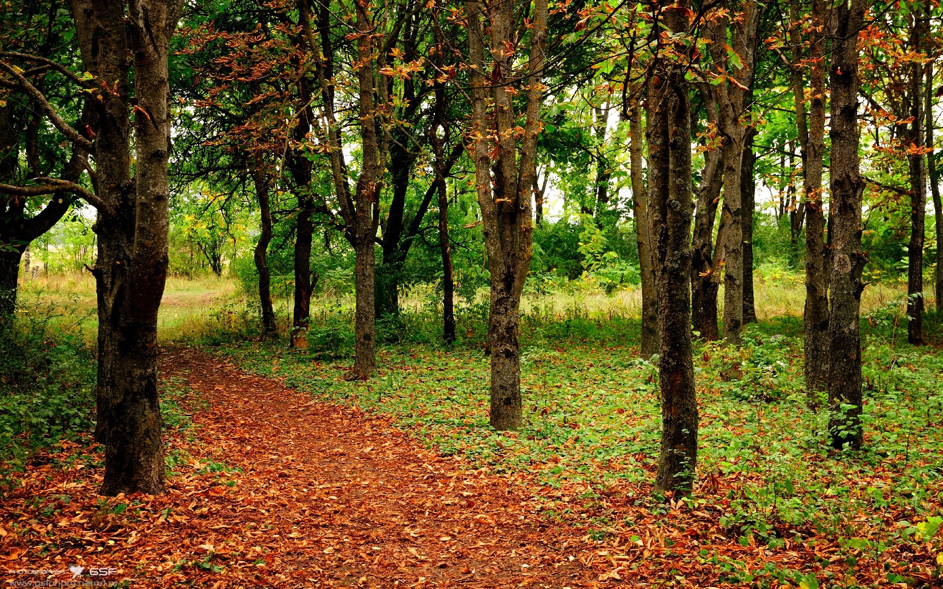 乐鱼体育(中国)官方网站-美洲杯明星再登场：突破、助攻、精彩不断！，美洲杯大名单