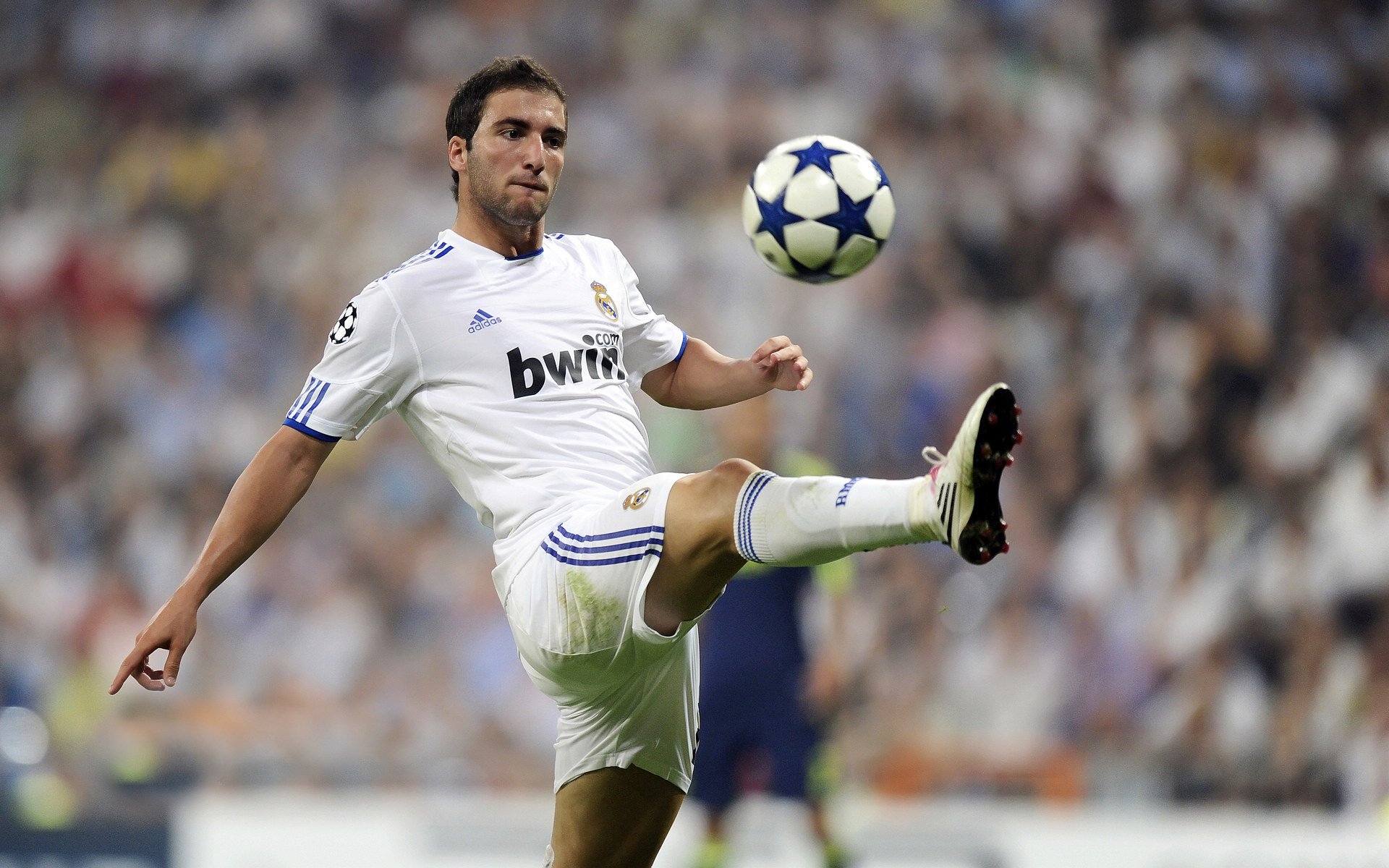 世界读书日“图书馆台阶跑” 参与者一圈一层读一页书